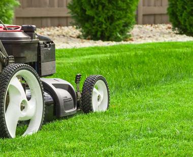 LANDSCAPING. LANDSCAPE DESIGN